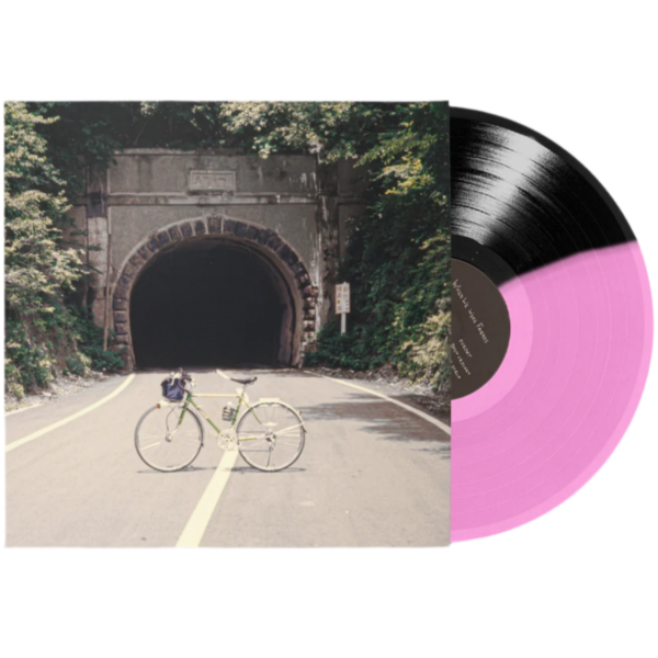 The Backseat Lovers - When We Were Friends (Limited Edition, Pink & Black Split Vinyl) (LP) Online